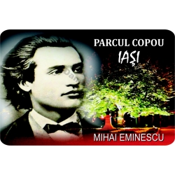 Magneti suvenir Eminescu